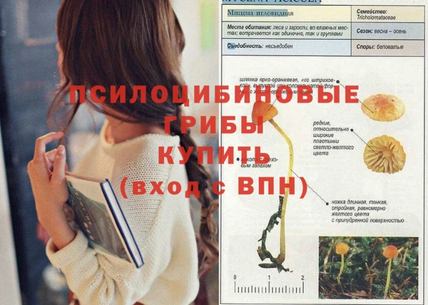 spice Абинск