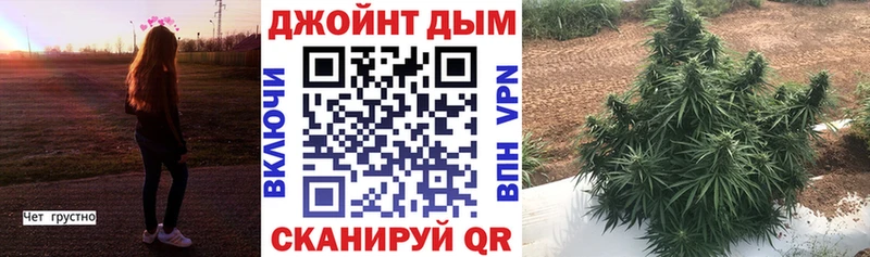 Бошки марихуана ГИДРОПОН Алдан